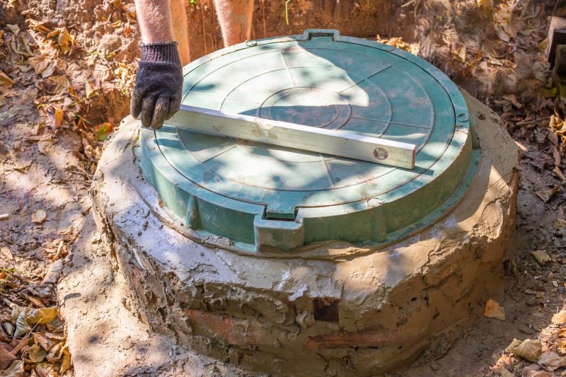 cistern cleaning and leak repair
