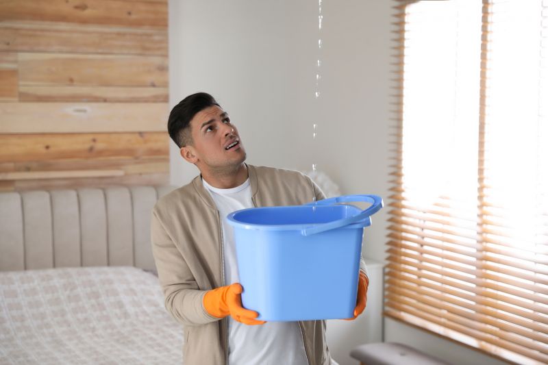 Cistern Cleaning And Leak Repair