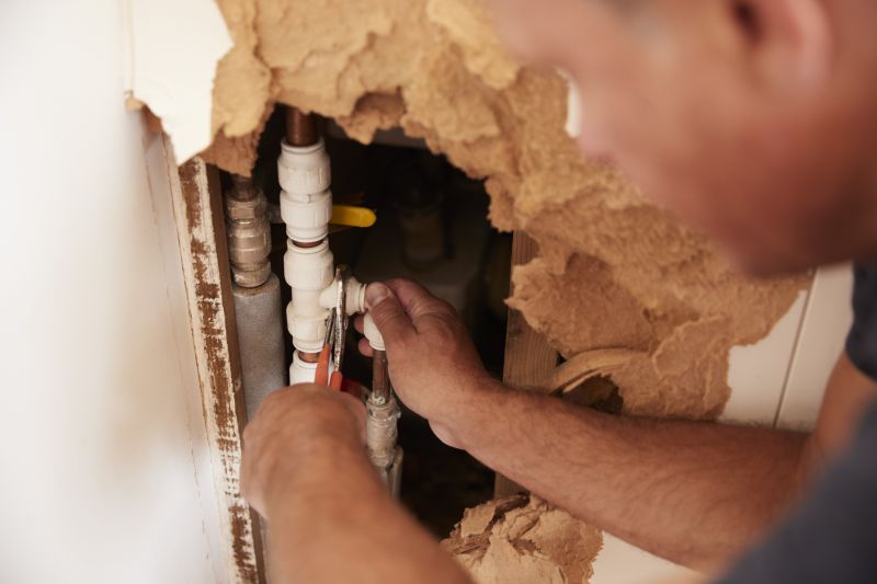 Cistern Cleaning and Leak Repair — cost of