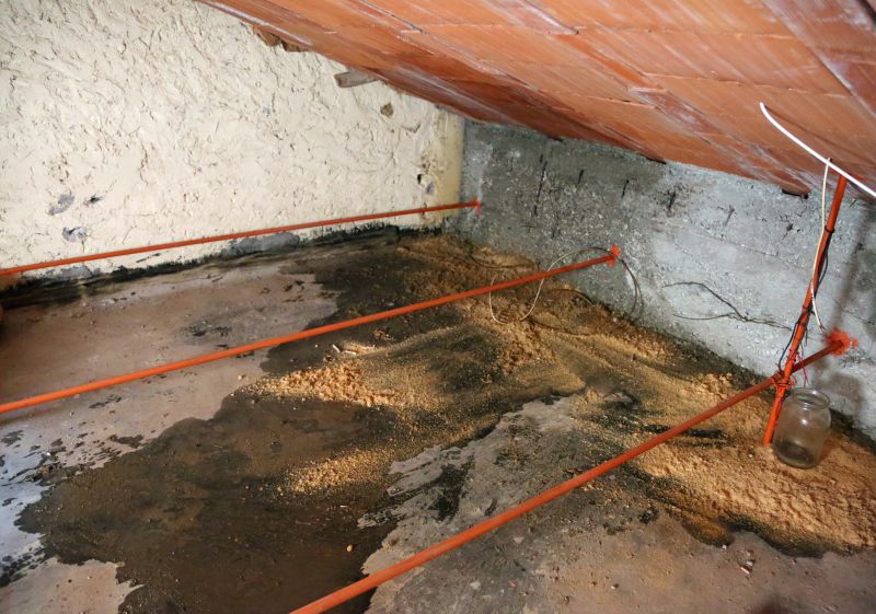 Cistern Cleaning and Leak Repair — cost of
